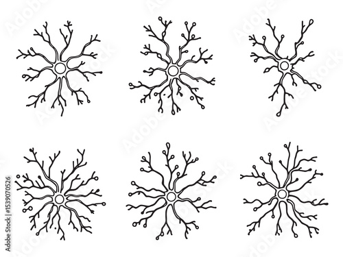 Neuron line art illustration