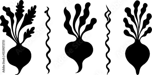Black silhouette set of beetroot bulb and leaf with soil crack patterns for design