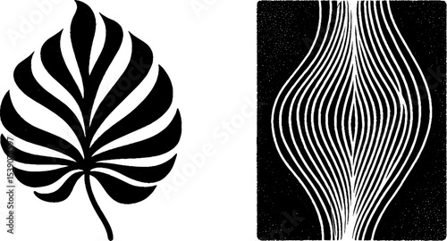 Monochrome abstract design featuring orchid leaf and book spine elements