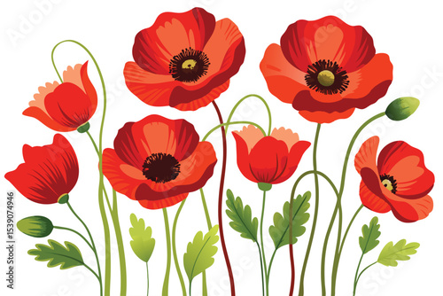 Vibrant Red Poppies A Stunning Floral Illustration