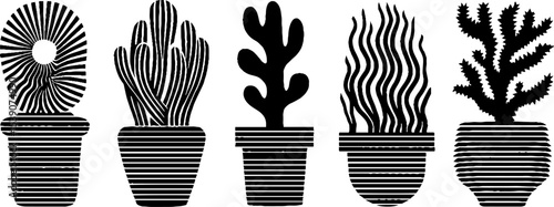 Unique cactus designs in clay pots with sunlight streak - perfect for decorative art and home decor