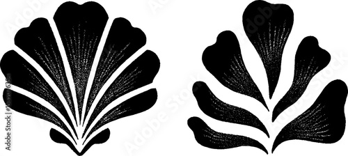 Elegant black and white clam shell and coral design for ocean-themed art