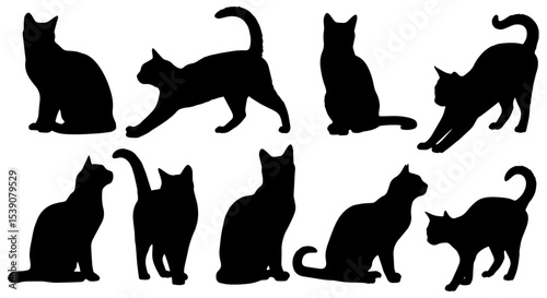 Set of cats silhouettes isolated vector illustration on a white or transparent background.
