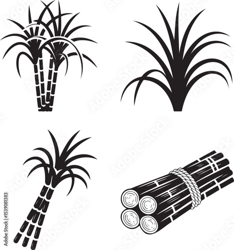 Sugarcane silhouette set vector illustration isolated On Transparent Background