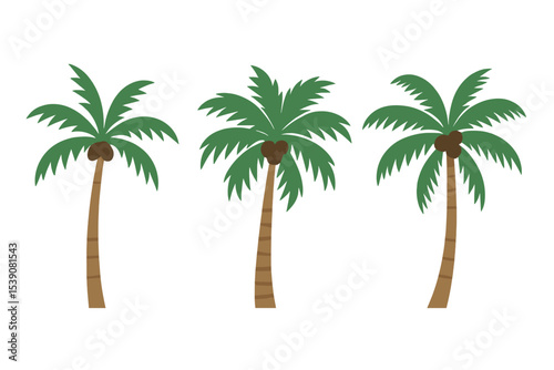 The Cocos nucifera coconut palm tree is offered as an isolated cutout in three varying models, suitable for use in designing landscapes