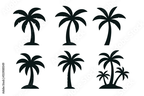 Black vector illustrations feature silhouettes of palm trees in a tropical setting