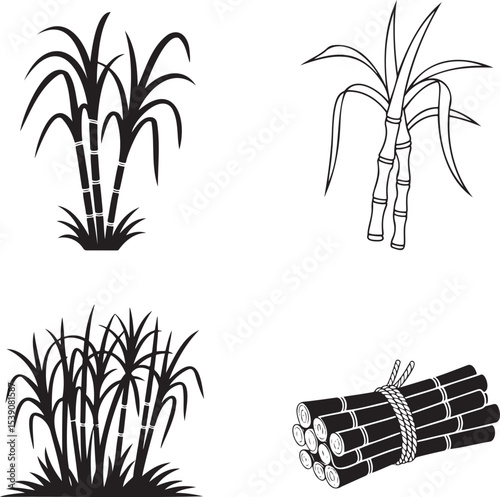 Sugarcane silhouette set vector illustration isolated On Transparent Background