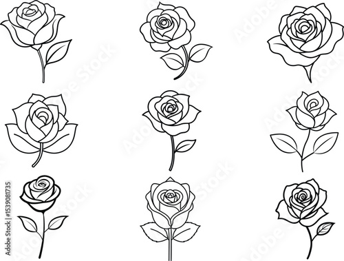 Hand-drawn rose flower line art set, elegant floral sketch collection