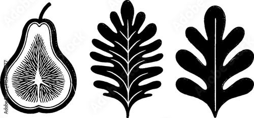 Minimalist pear slice, fig leaf, and sliced apple design for nature themed art prints