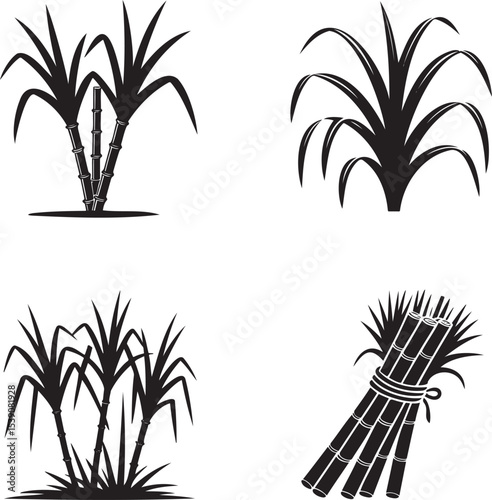 Sugarcane silhouette set vector illustration isolated On Transparent Background