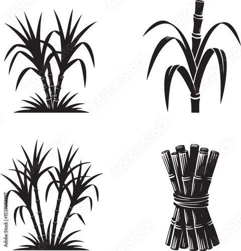Sugarcane silhouette set vector illustration isolated On Transparent Background
