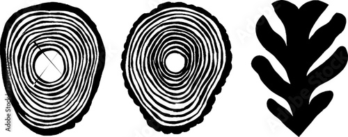 Nature elements: tree rings, moss shape, and beetle silhouette design for art and decoration