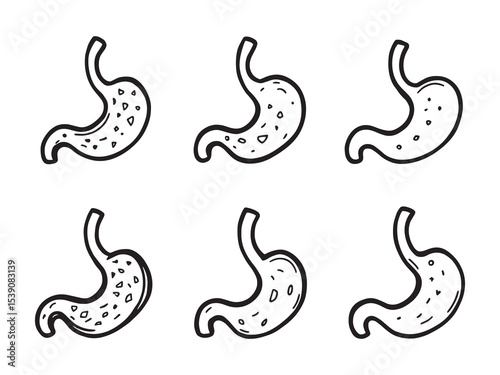 Internal stomach sketch with line art style