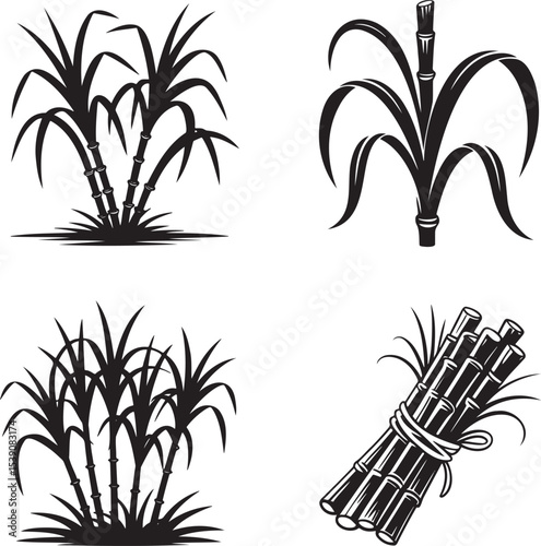 Sugarcane silhouette set vector illustration isolated On Transparent Background