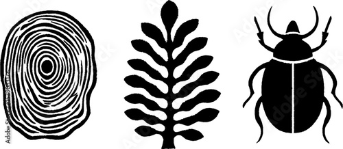 Nature silhouettes: tree ring, moss pattern, and beetle design for educational and decorative use