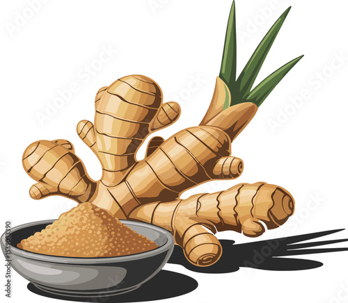 vector illustration of a Ginget