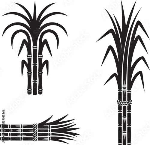 Sugarcane silhouette set vector illustration isolated On Transparent Background