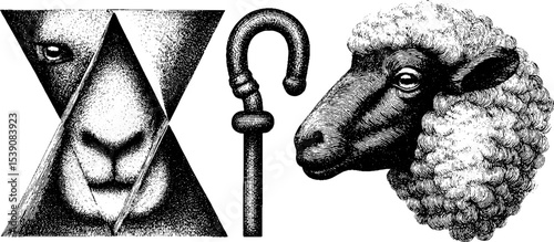 Vintage engraving of shepherd's crook and sheep's wool fleece scene