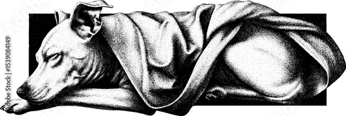 Sleeping dog wrapped in blanket in dotwork tattoo style design