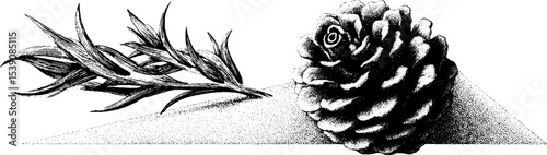 Elegant line art of wind swirl and pinecone with geometric design for nature enthusiasts
