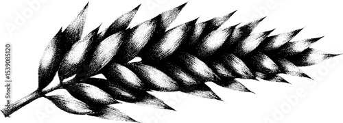 Wheat stalk in clean line art style with breeze flow concept for nature design