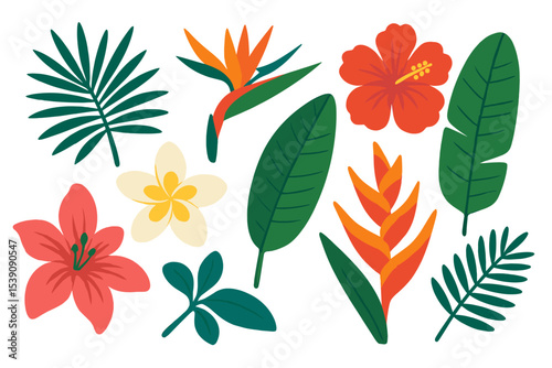 A colorful summer collection featuring exotic flowers, tropical leaves, palm and banana branches, and plumeria, set against a white background as a vector flat illustration