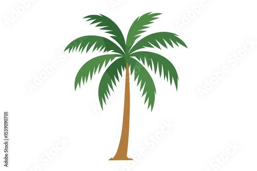 A single green palm tree is isolated on a transparent background, complete with a clipping path and alpha channel, suitable for forest and foliage themes in summer for print and web use