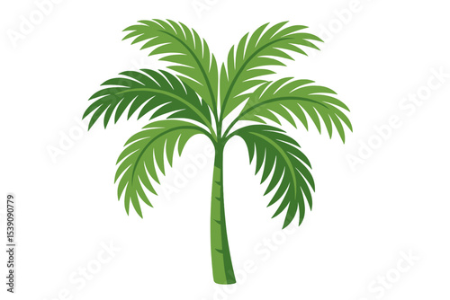 Tropic leaves of a green palm tree for vacation card decor