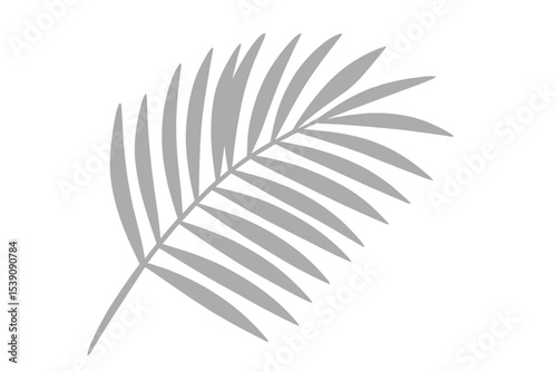 A realistic overlay effect of a palm leaf shadow isolated on a white background, showcasing the natural shadow of a tropical palm branch, ideal for product presentation and design elements in