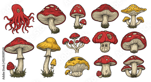 An Octopus Among Mushrooms A Whimsical Botanical Illustration with a Touch of Fantasy