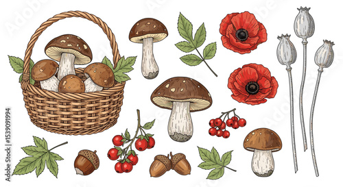 A Detailed Exploration of Autumnal Harvests Mushrooms Berries Poppies and Acorns Still Life