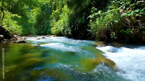 Wallpaper Mural Clear stream flowing through lush forest. Torontodigital.ca