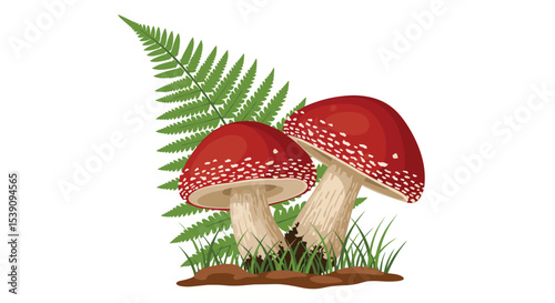 Amanita Muscaria Mushrooms A Visual Guide to Identifying and Foraging Wild Species Safely