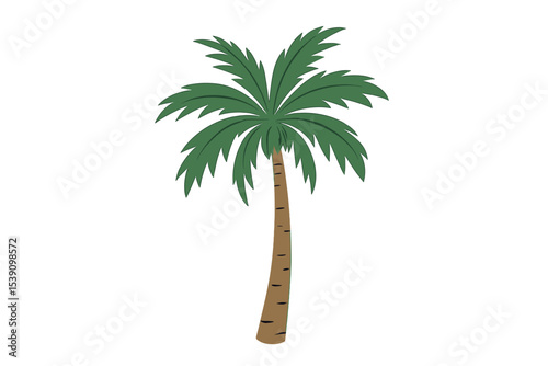 The image features a lone palm tree with a clipping path and alpha channel, set against a transparent background, ideal for depicting summer forests and foliage in both print and digital media