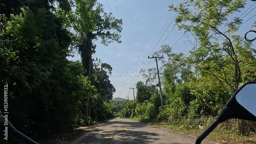 Motorcyclist riding through lush green forest road