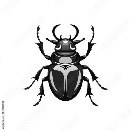 black beetle isolated on white