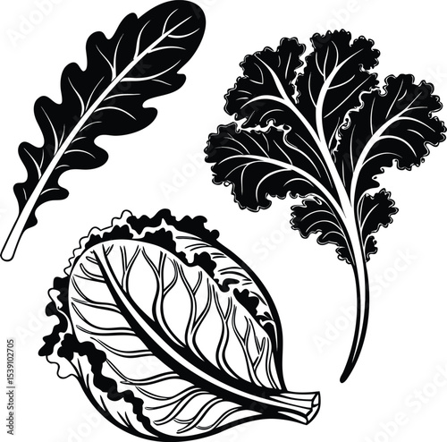 Seamless vector pattern of artistic feather illustrations for elegant design and nature-inspired decoration