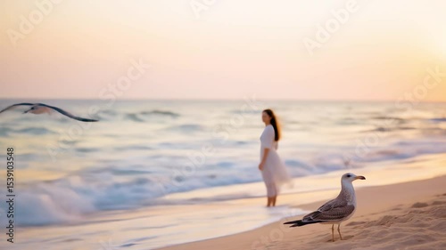 Serene Beach Scene: Woman in White Dress Watching Sunset with Seagulls Flying, Tranquil Ocean Escape, Travel & Freedom Concept. 4K Video