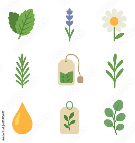 Herbal Icon Grid. Flat icon set of botanical and herbal branding: mint leaf, lavender sprig, chamomile flower,