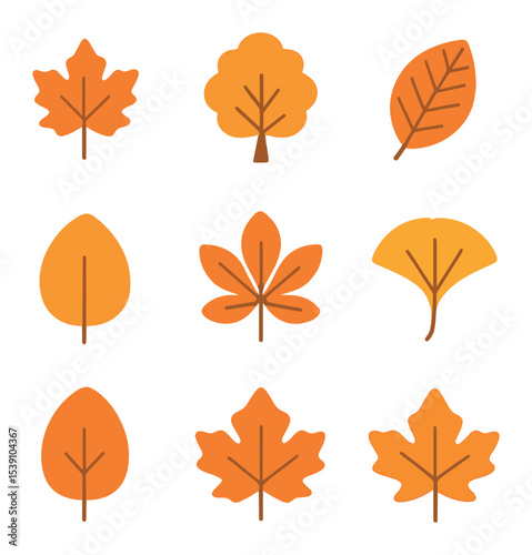 Autumn Leaves Icon Set. Flat icon set of autumn tree types and leaves: maple leaf, beech leaf, elm leaf,