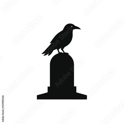 crow on a white background