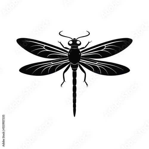dragonfly isolated on white