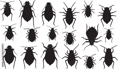 Aphid Silhouettes