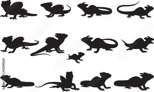Basilisk Silhouettes