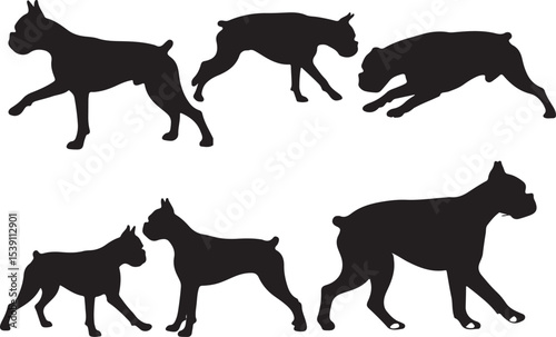 Boxer Silhouettes