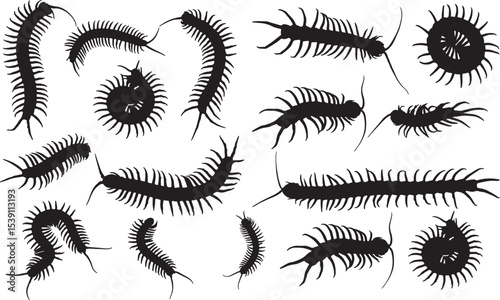 Centipede Silhouettes