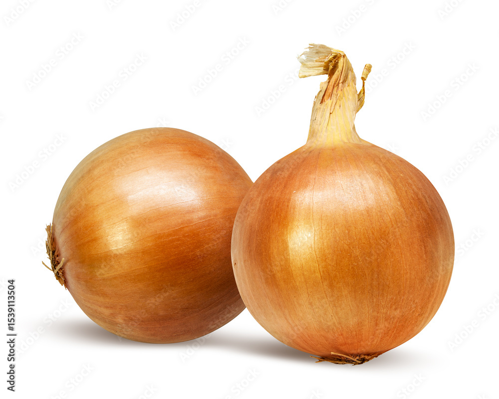 Fototapeta premium Onions isolated on white background with clipping path