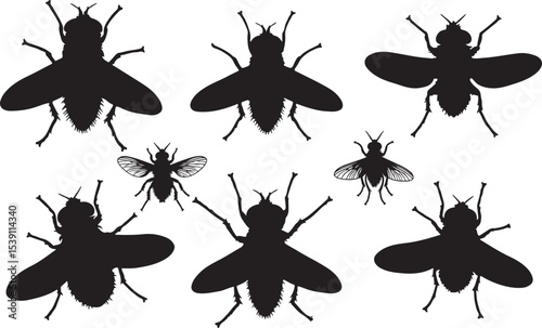Fly Silhouettes