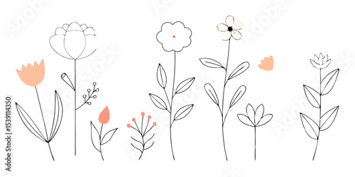Hand-drawn floral elements in a simple, elegant style, perfect for summer vacation illustration set, showcasing delicate blooms.