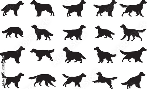 Irish Setter Silhouettes